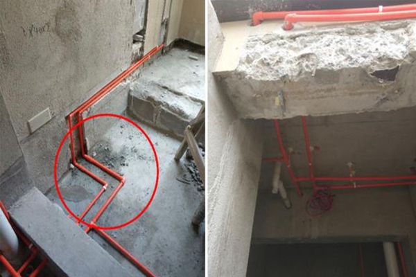 1553247944456041.jpg 19.jpg